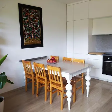 Przestronne Mieszkanie Przyjazne Dzieciom I Zwierzetom Apartment